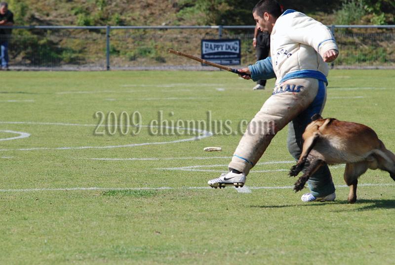 3 EME SELECTIF 2009 GRANDE SYNTHE 392.jpg